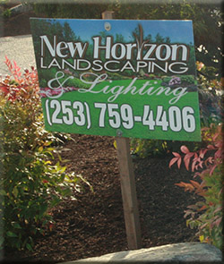 New Horizon Services